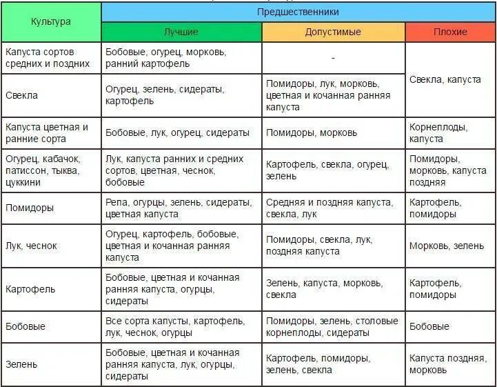 Сажают ли лук с помидорами
