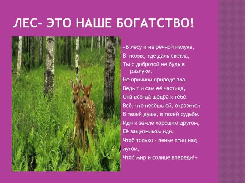 Стихи 20 века не причини природе зла. Лес наше богатство. Стих не причини природе зла. В лесу и на Речной излуке. Лес наше богатство береги его стих.