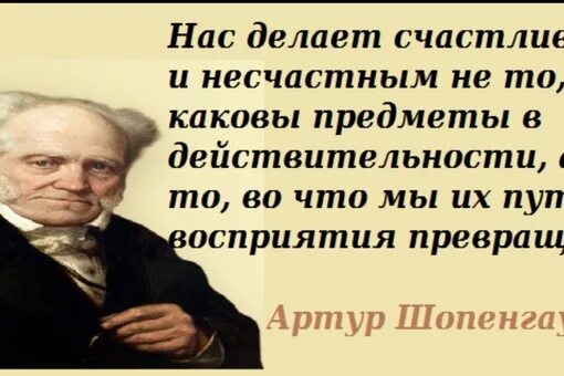 Шопенгауэр о жизни. Высказывания Шопенгауэра. Афоризмы Артура Шопенгауэра.