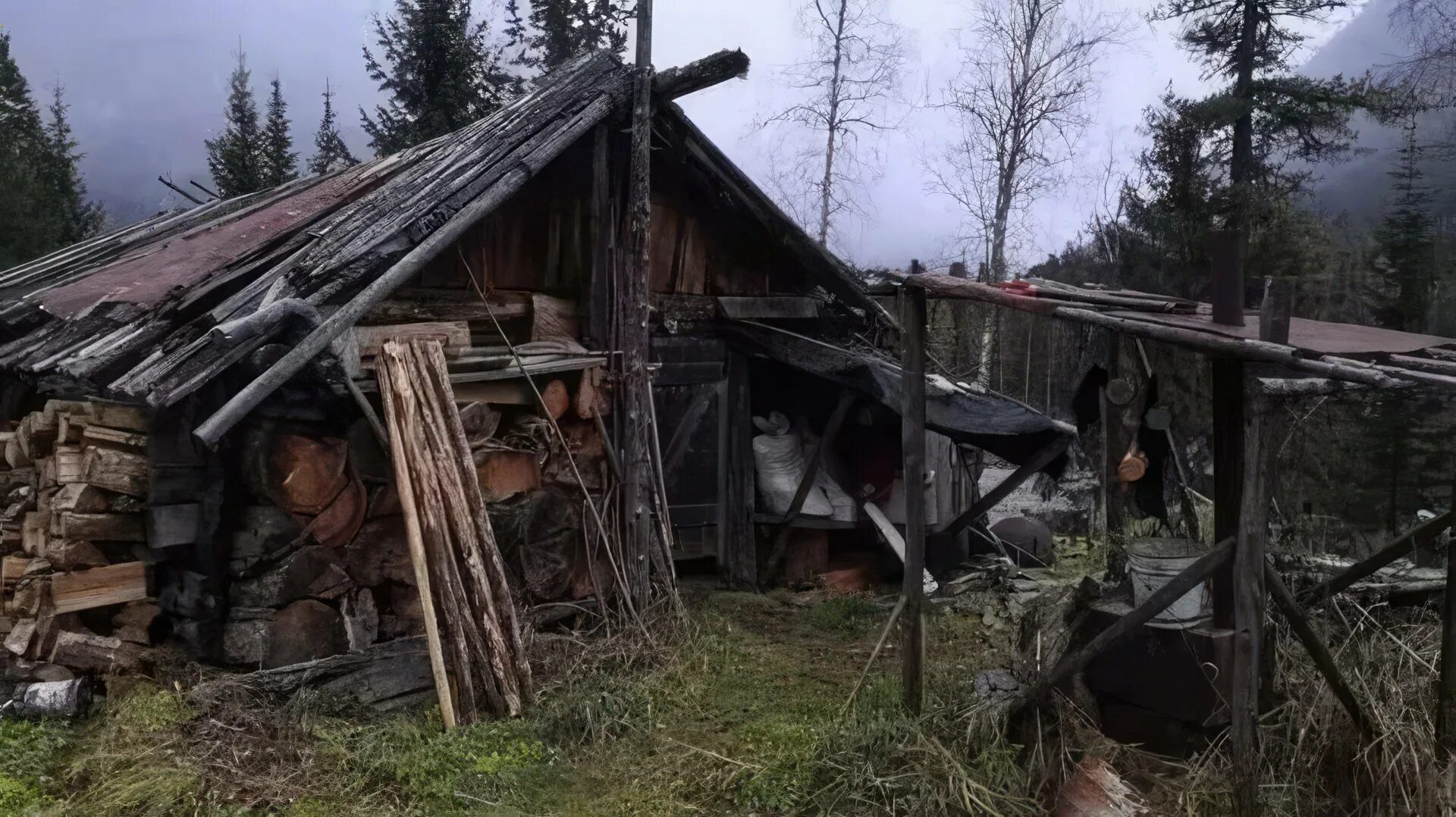 Живет в тайге лыкова