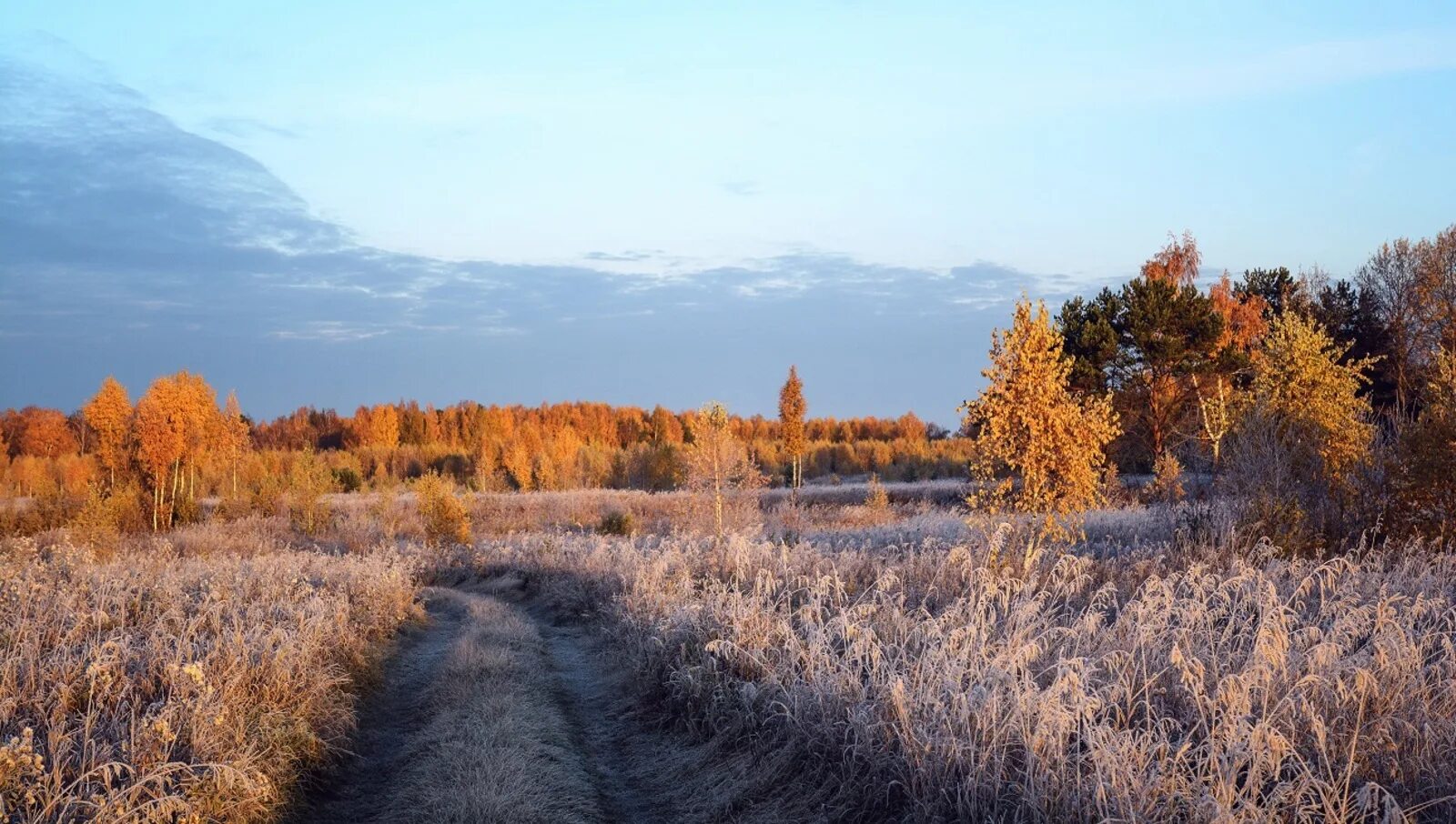 Поздняя осень. Ноябрь природа. Морозное осеннее утро. Солнечная поздняя осень.