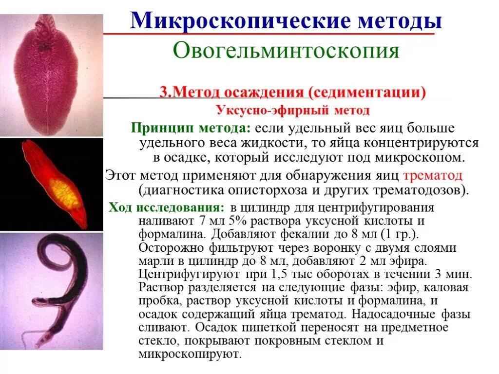 Анализ червя. Овогельминтоскопия фекалий. Метод седиментации в паразитологии. Диагностика гельминтозов микроскопические методы. Микроскопический метод диагностики гельминтов.