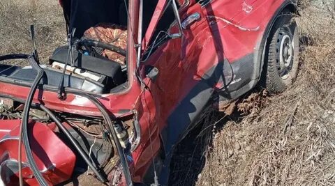 Свежие новости алтайского края барнаул