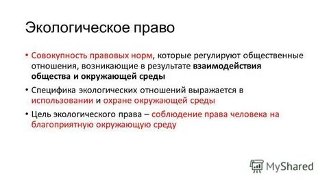 Общественные экологические отношения