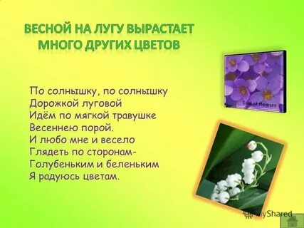 Расцвели цветочки слова
