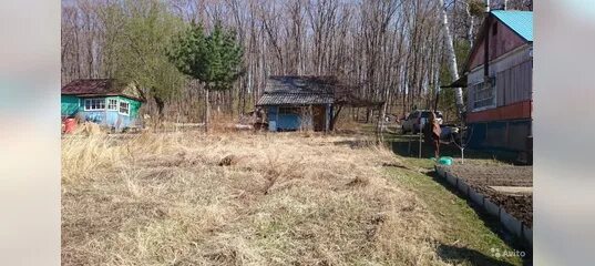 СНТ Пищевик. СНТ Пищевик Красногорский район. СНТ Пищевик Новосибирск. Садовое товарищество Пищевик Петрозаводска. Снт пищевик купить