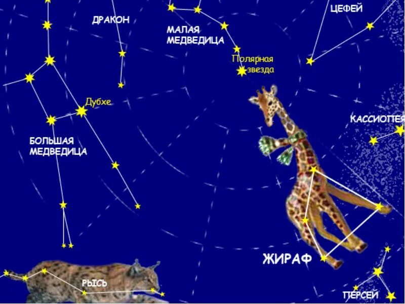 Созвездия картинки. Созвездие Жираф. Созвездие Жираф на небе. Популярные созвездия.