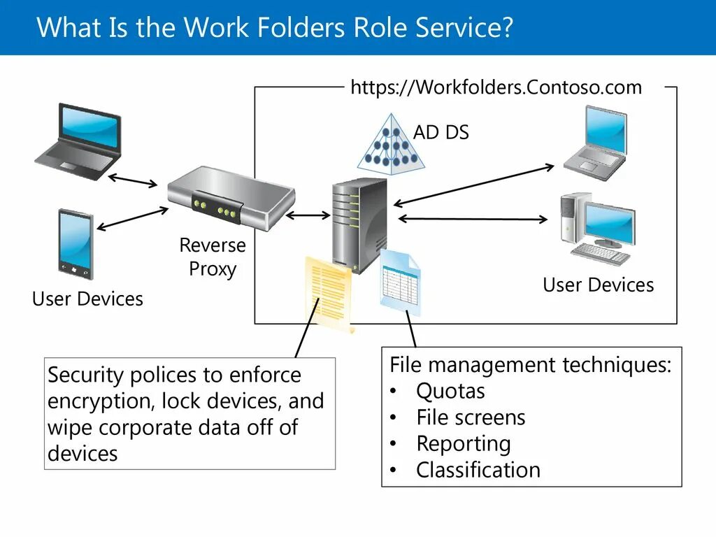 Device файл. Active Directory DNS DHCP. Файловый сервер DFS Active Directory. Наследование папок Windows. Структура DACL И Sacl.