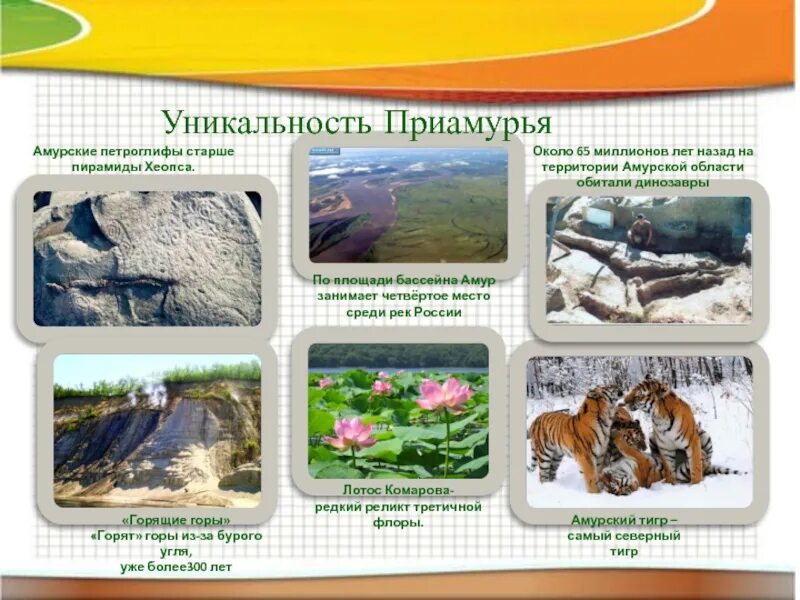 Работы какой край