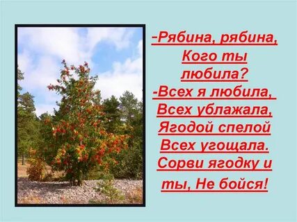 Цитаты про рябину