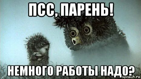 Ребята чуть