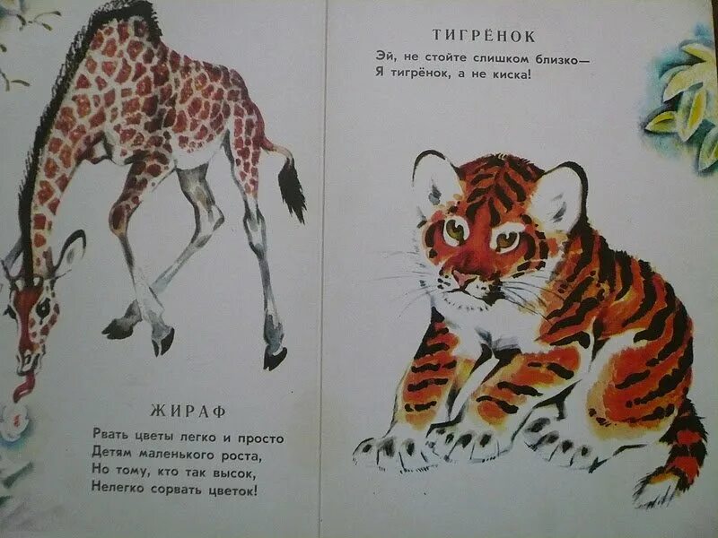 Маршак детки в клетке жираф. Стихотворение самуила яковлевича маршака детки в клетке. Стихотворение зоосад маршак. Стихотворение самуила яковлевича маршака детки в клетке. Маршак детки в клетке 1923.