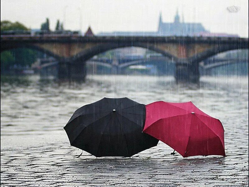 Любимый зонтик. Дождь зонт. зонт под дождем. зонтик любви. ливень зонт.