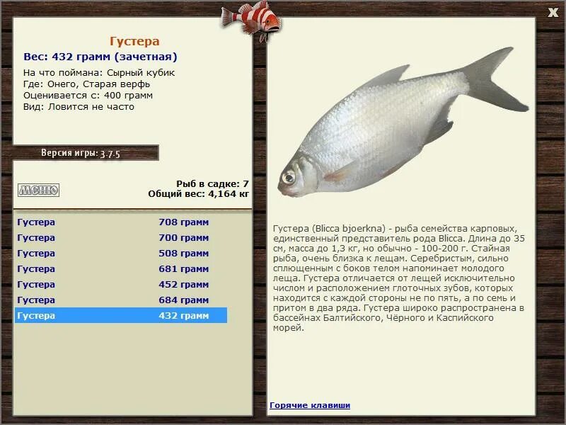 На что клюет рыба елец. Где ловить зачетную рыбу. Где ловить зачетную рыбу. Русская рыбалка 3. Плотва 600 грамм.