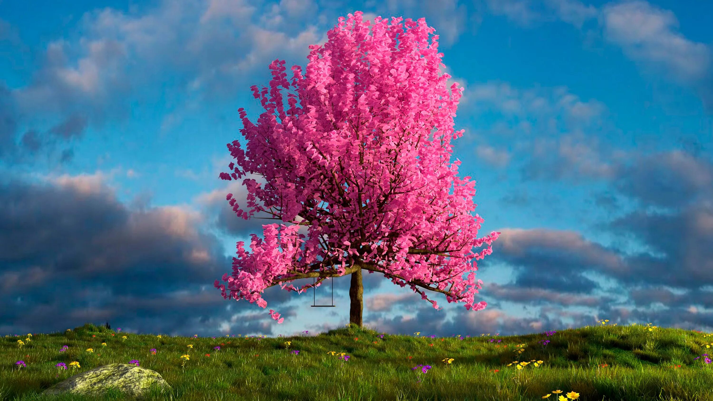 Красивое дерево. Цветущее дерево. Розовое дерево. Сакура дерево. Blossom 3