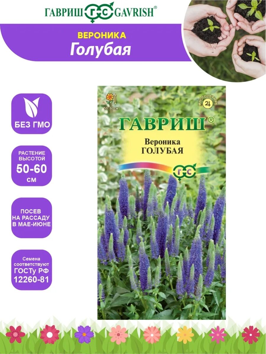 Семена вероника Голубая + Подарок ПОИСК 103139716 купить за 191 ₽ в интернет-маг