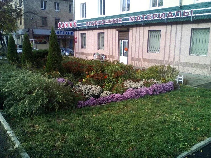 Цветы в г шахты. Букет цветов шахты. Донецк город роз. Цветы г шахты. Цветы в магазине.