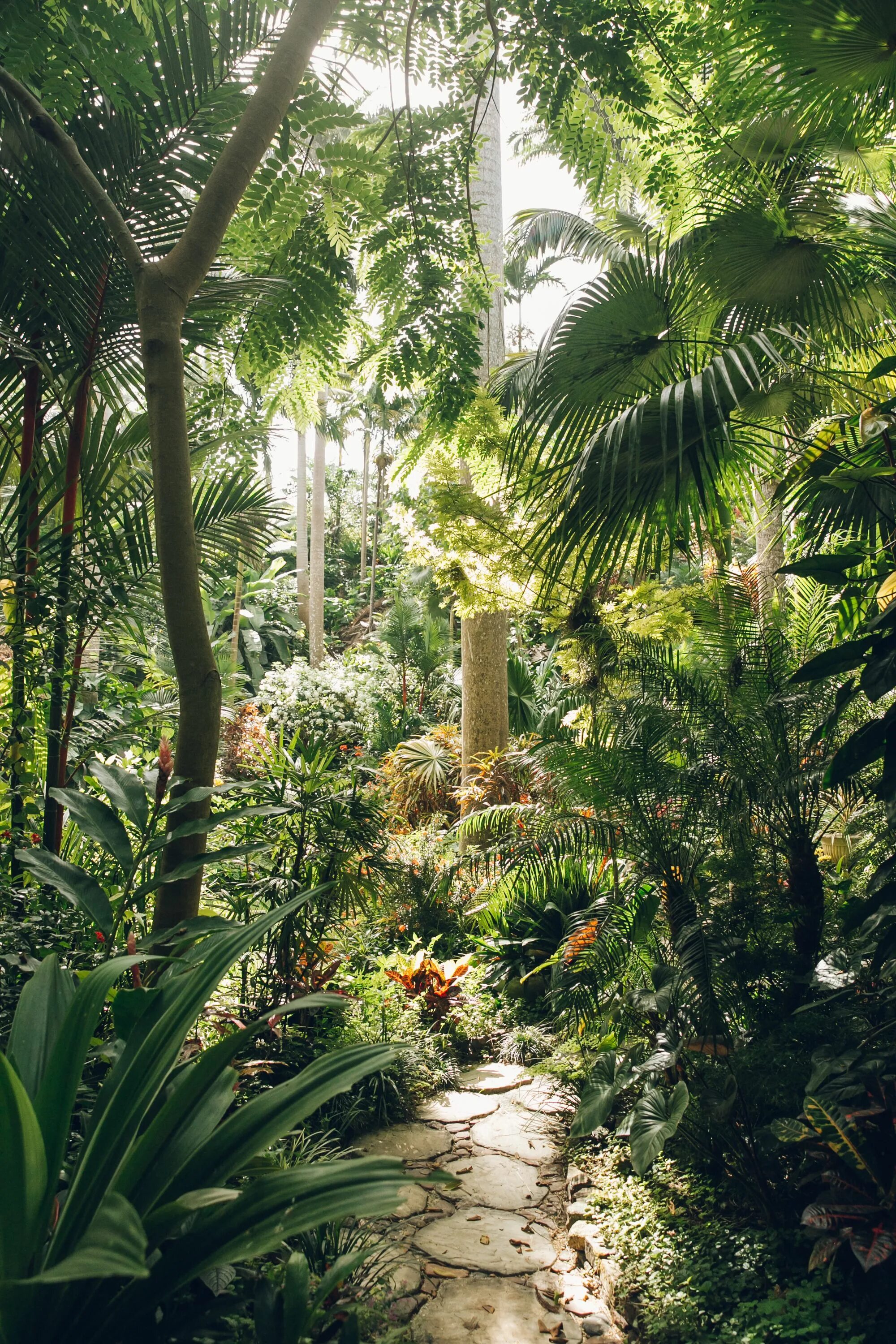 Сад джунгли. Тропический сад. Тропический пейзаж. Астана Ботанический сад джунгли.