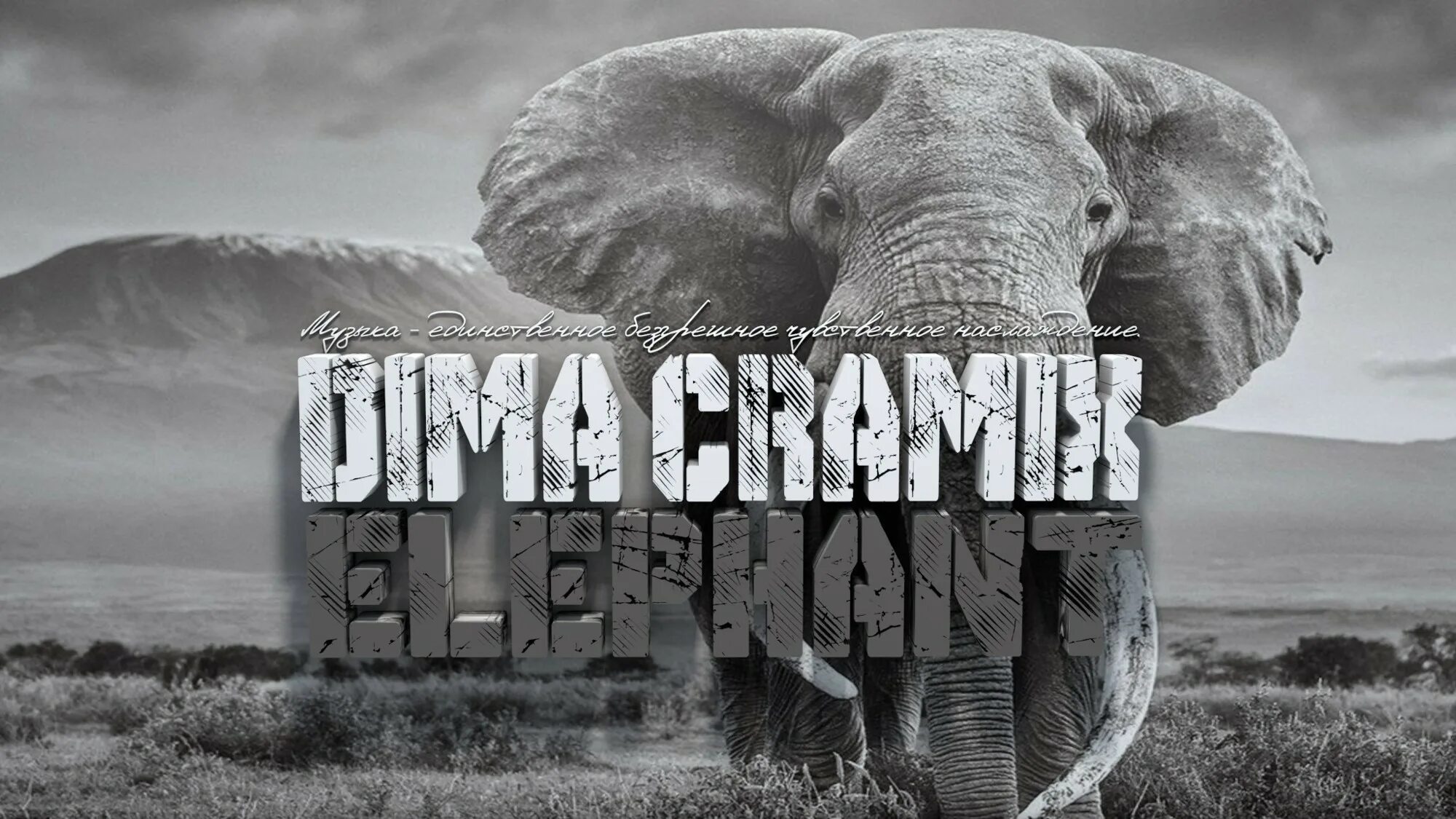 Dima Cramix - Elephant. Трек слоны Deep House. Sanny Lir - СТО миллионов минут. Загрузочный экран Elephant 2021.