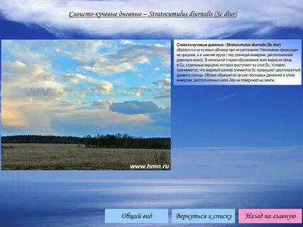 Слоисто дождевые высота