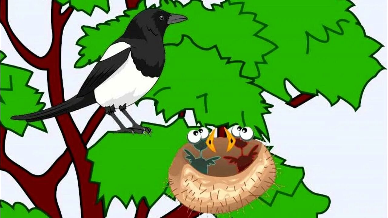 Диалог сороки и елочки. Бурятская сказка сорока и ее птенцы. сорока и ее птенцы. гнездо рисунок. гнездо сороки.