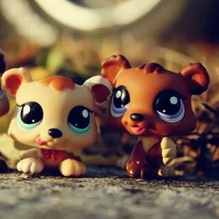 Heart pet shop