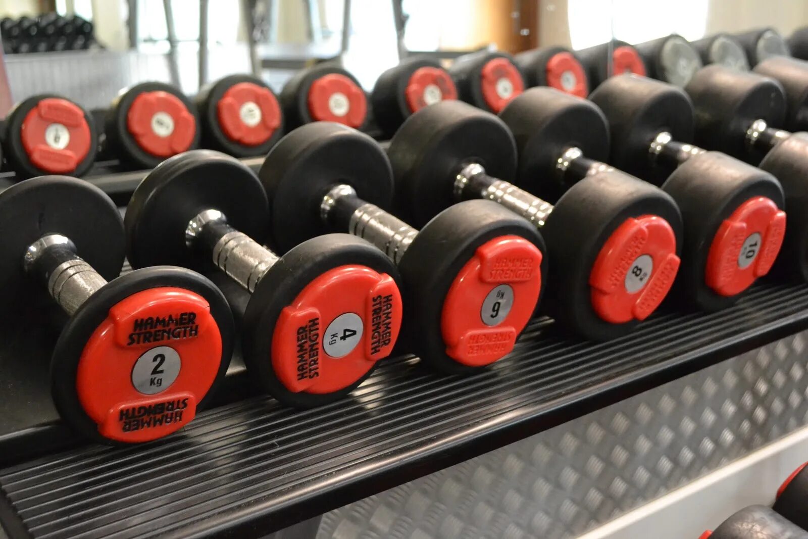 Body solid strength training equipment. Жим штанги на бицепс. Body solid exm-1700. Barbell biceps curl. Жим лежа.