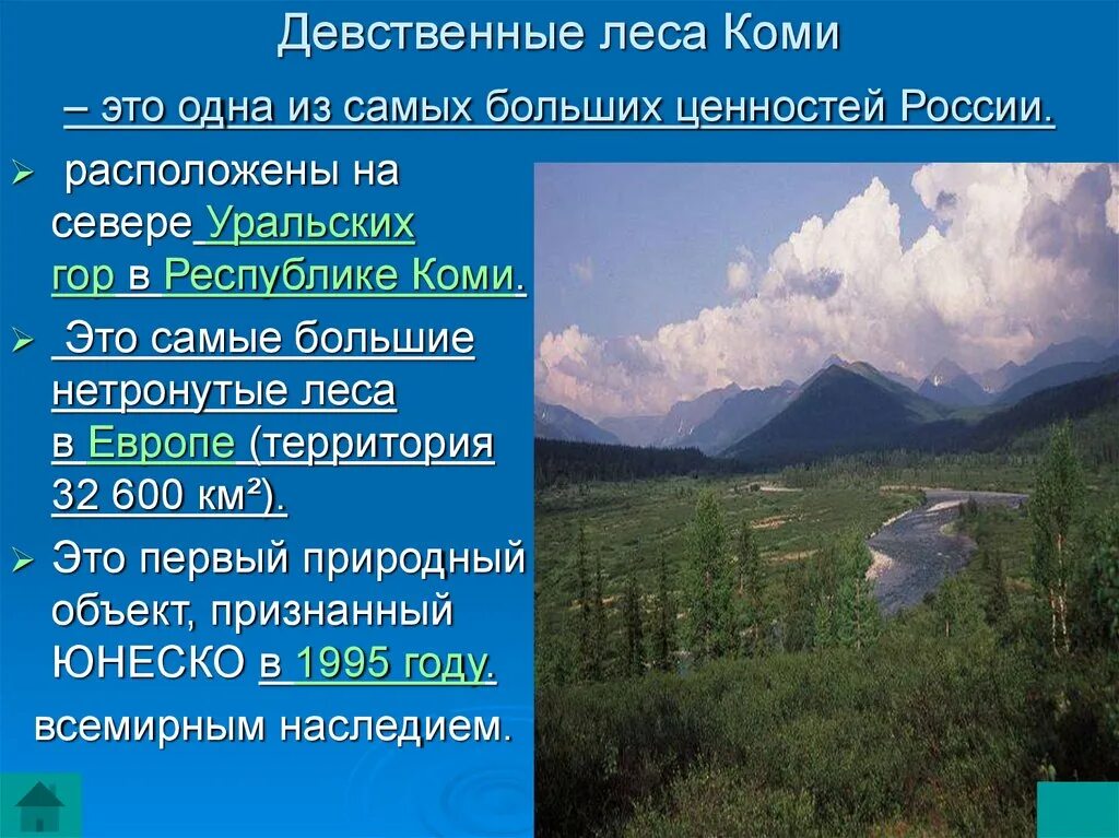 Девственные леса ЮНЕСКО. Девственные леса Коми ЮНЕСКО. Всемирное природное наследие девственные леса Коми. Какие из перечисленных природных объектов располагаются