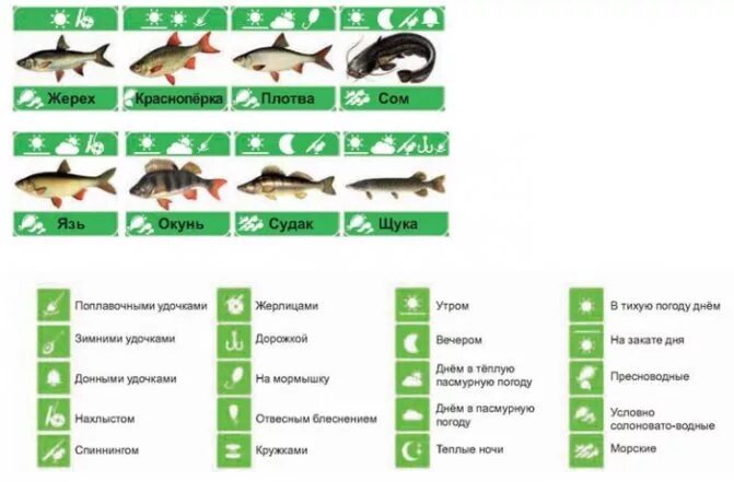 Рыболовный календарь. Таблица клева рыбы зимой. Календарь ловли рыбы благоприятные дни. Календарь клева щуки.