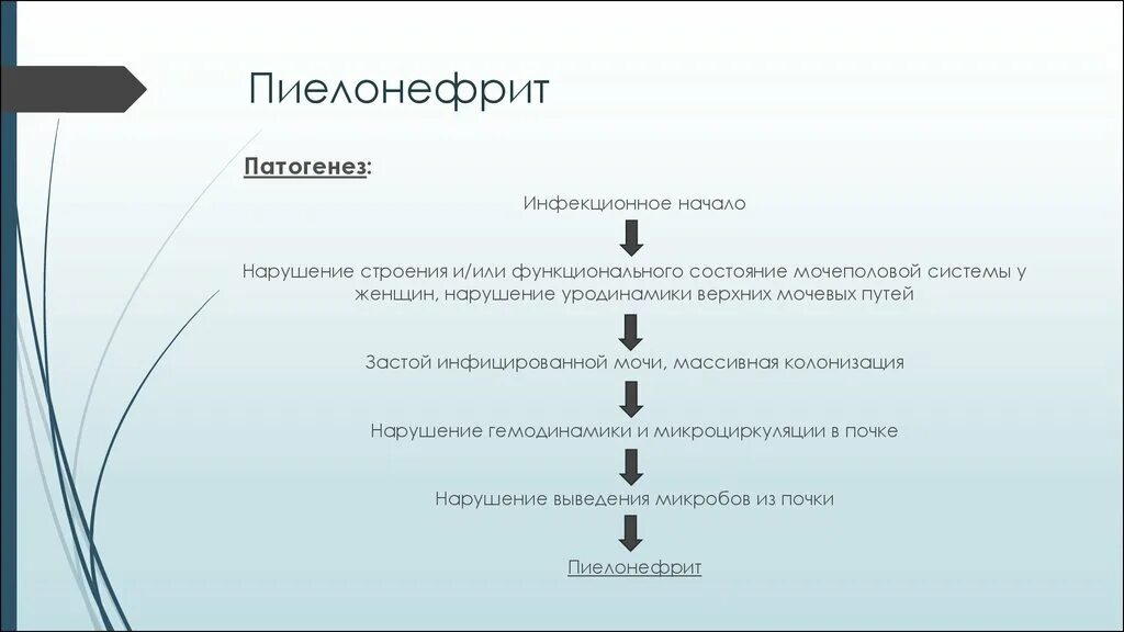 Патогенез хронического пиелонефрита схема. Патогенез острого гестационного пиелонефрита. Хронический пиелонефрит этиология классификация. Патогенез развития хронического пиелонефрита.