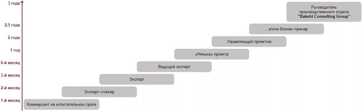 Менеджмент карьерный рост. Рост менеджера по продажам. Карьерная лестница менеджера. Карьерная лестница продажника. Карьерный план.