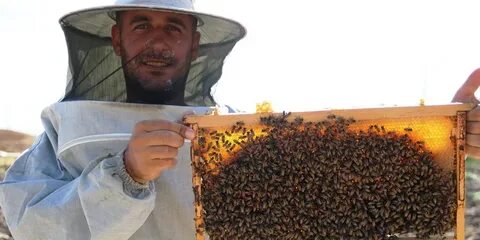Асаларичи