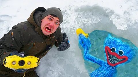 Жизнь виа находки во льдах