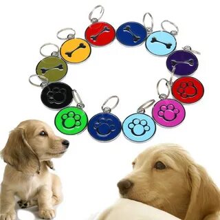 Tagged pets