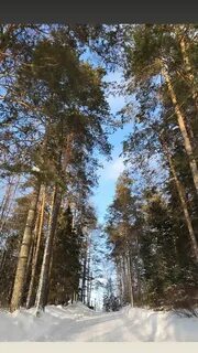 Верх красноярка