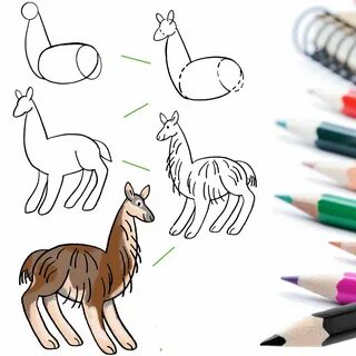 Как нарисовать животное которое