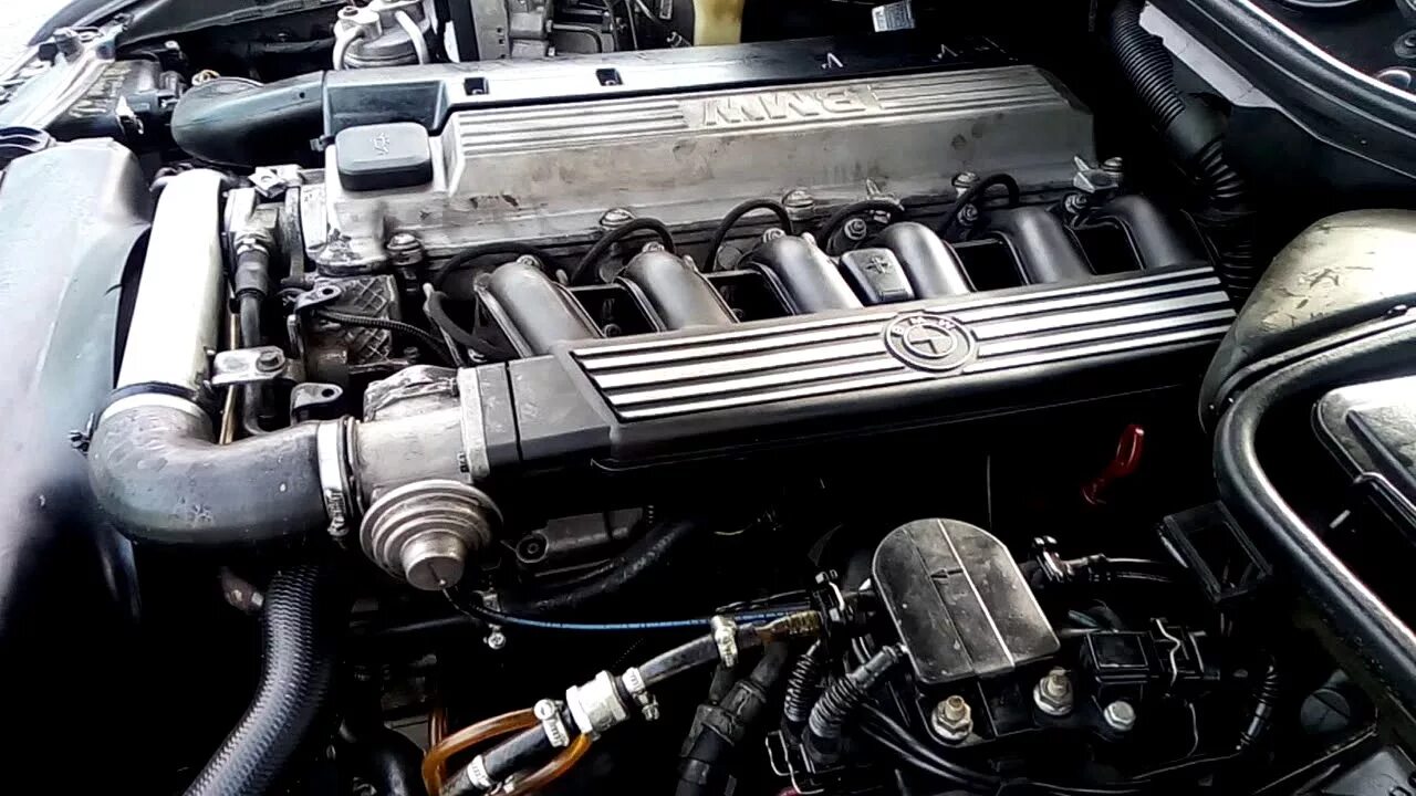 Греется е39. Bmw m51 2.5 tds. бмв е39 2.5 дизель м51. мотор бмв м51. бмв е34 м51.