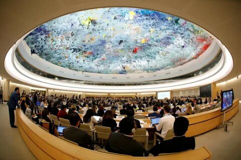 Совете организации по правам человека
