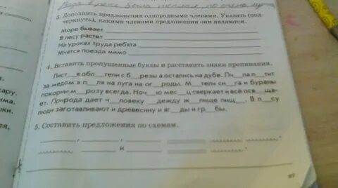 Предложение в тенистых кустах