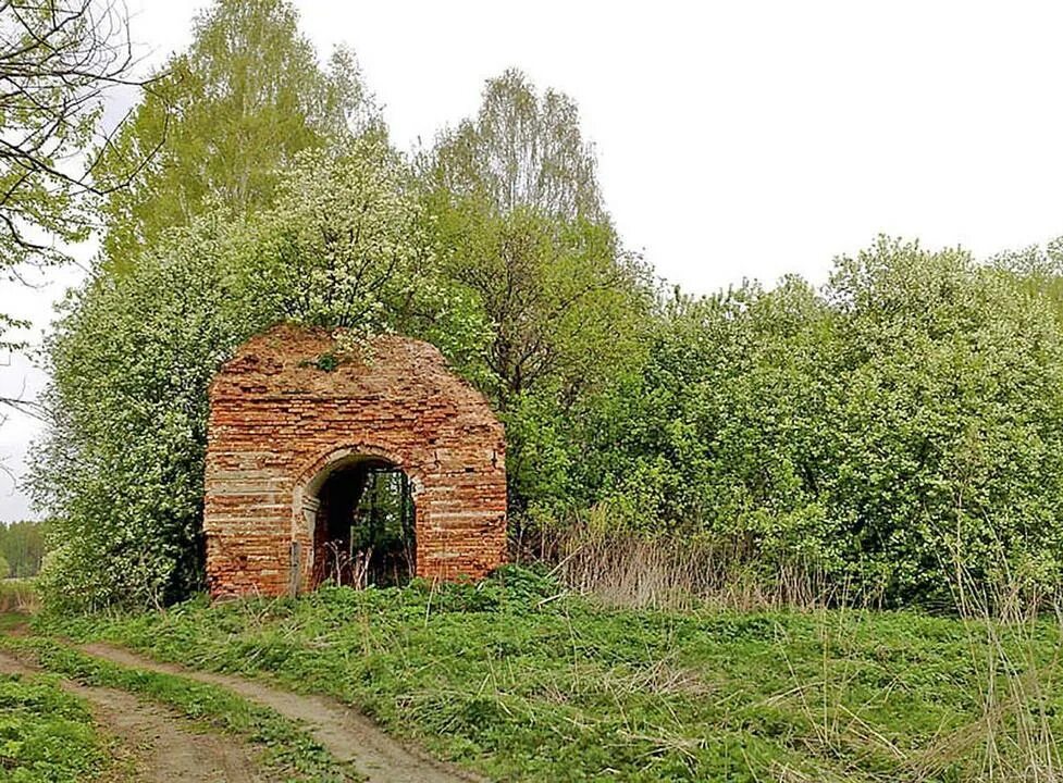 Новое павшино тульская область дубенский район. Ново-павшино дубенского района тульской. С. Павшино тула. Дубенский район тульской области павшино колокольня.