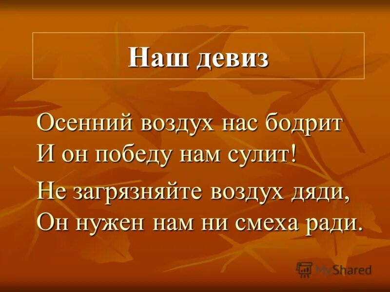 Девизы для школы. Красивый жизненный девиз. Девиз жизни. Речевки про осень. Девизы по жизни красивые.