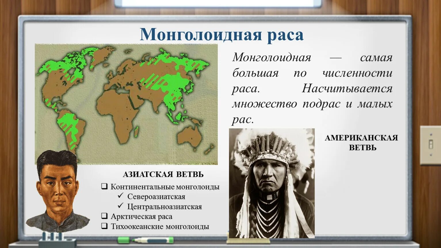 Ареалы распространения человеческих рас. Ареал обитания монголоидной расы. Монголоидская раса карта. Расселение монголоидной расы. Ветви монголоидной расы.