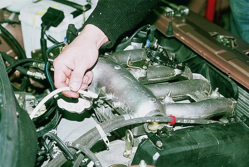 шланг впускного коллектора