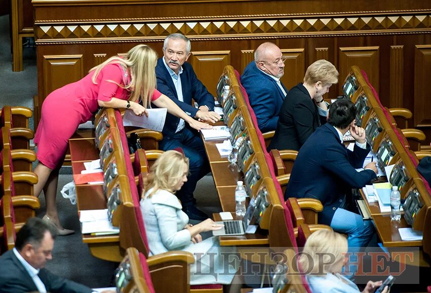 Депутаты рады обсуждают. Депутат рады. депутат рады женщина. верховная рада депутаты женщины. депутаты рады украины.