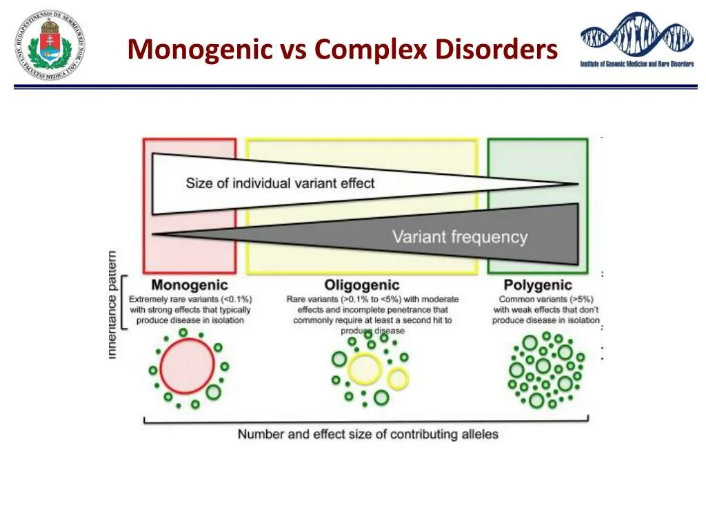 Why polygenic diseases are common while monogenic – rare.. Human disease