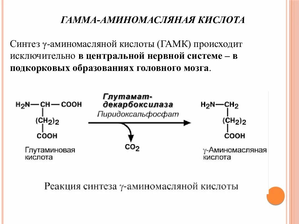 Синтез гамма аминомасляной кислоты. Синтез гамма аминомасляной кислоты из глутамата. Получение гамма аминокислот. Глутаминовой кислоты и гамма-аминомасляной кислоты..