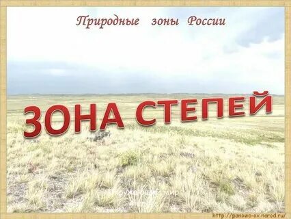 Степь презентация 4 класс окружающий мир