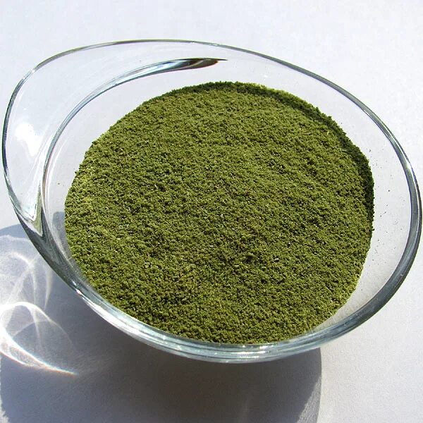 зеленая специя. специя зелёный порошок. кавказская смесь специй зеленая. зеленая приправа. зеленая специя.