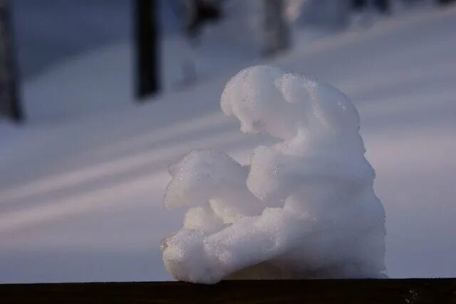 талым снегом песня