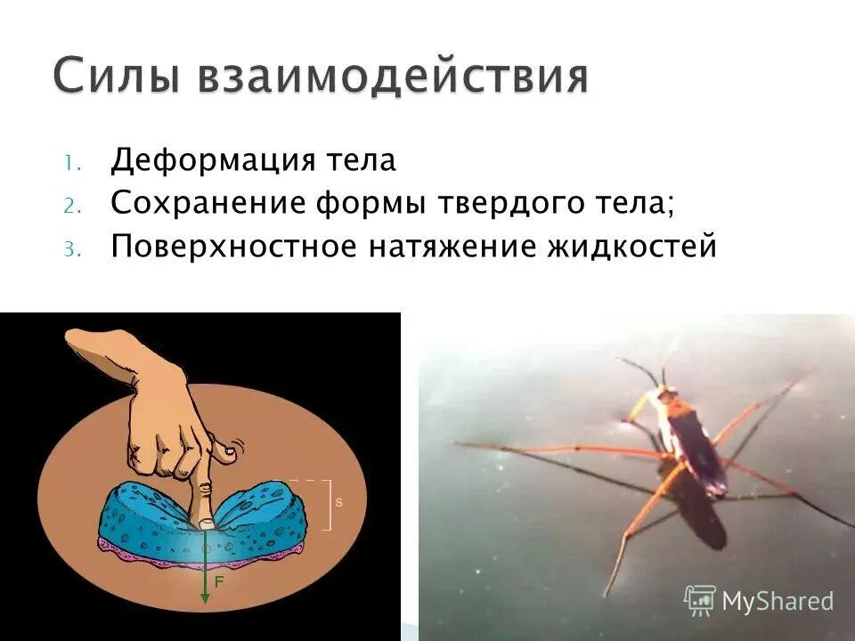 1 деформация тел. 1 деформация тел